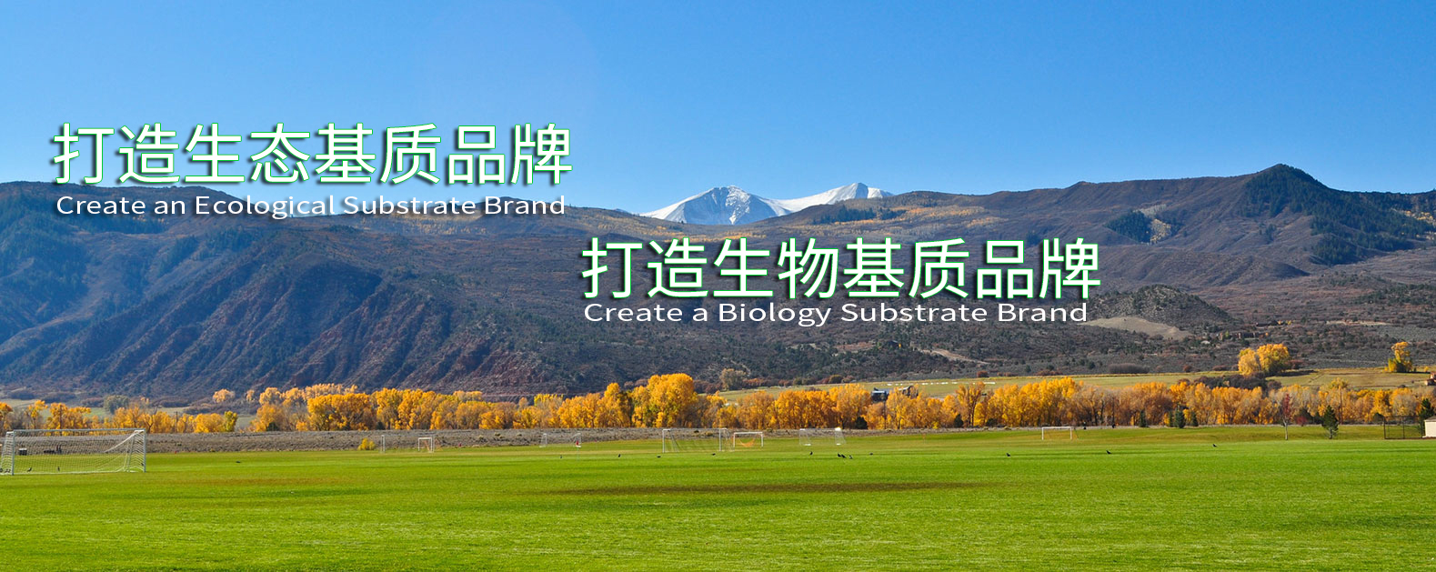 英国·威廉希尔(WilliamHill)唯一官网 - 中文官方网站