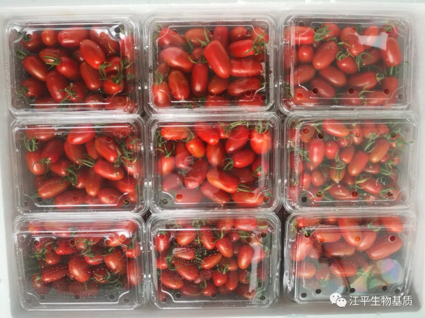 5f6adf23a426a.png 图片.png