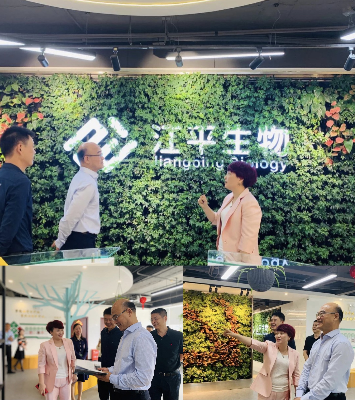 英国·威廉希尔(WilliamHill)唯一官网 - 中文官方网站