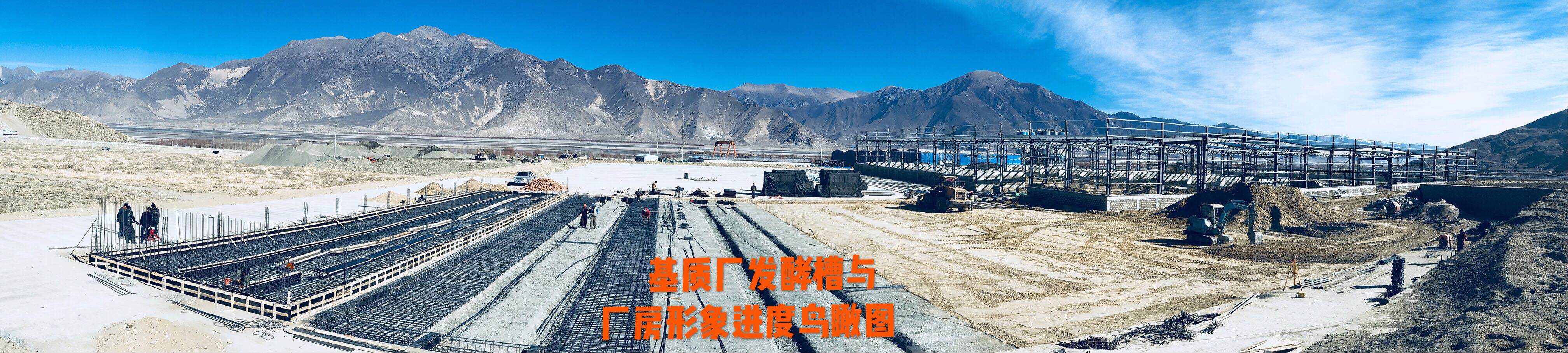 英国·威廉希尔(WilliamHill)唯一官网 - 中文官方网站